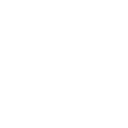 car white
