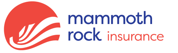 Insurance Logo footer
